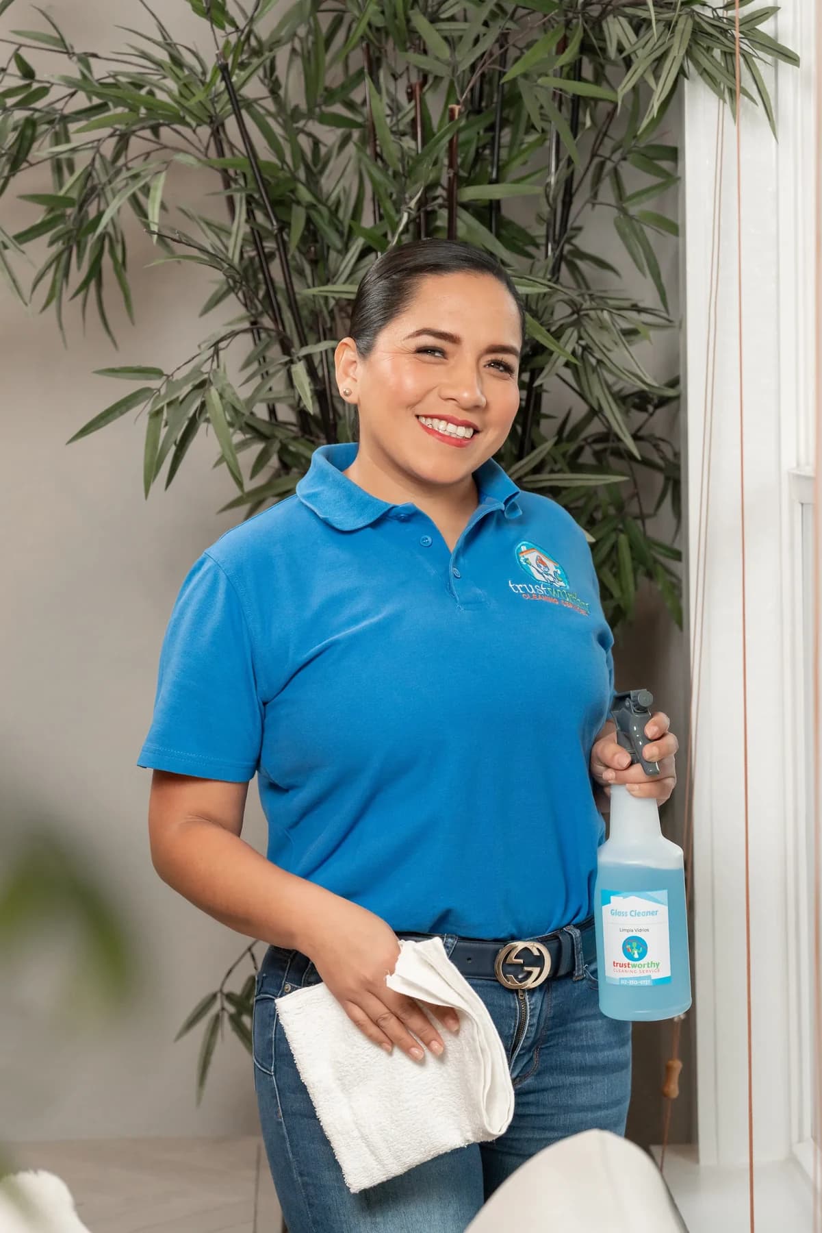 Cleaner wiping door frames and trim