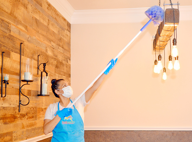 top masked maid service